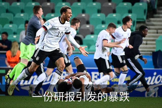 一份研报引发的暴跌