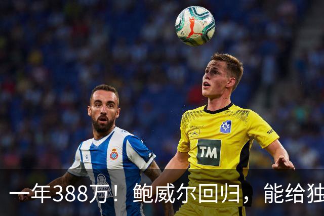 一年388万！鲍威尔回归，能给独行侠带来什么？