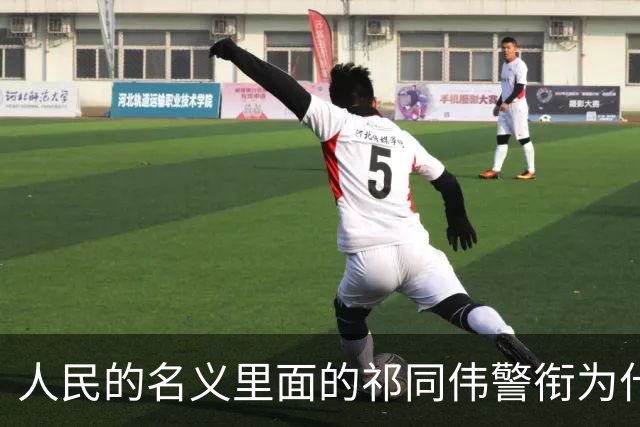 人民的名义里面的祁同伟警衔为什么是一级警监？毕竟他是公安厅长