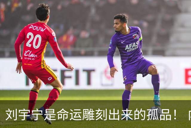刘宇宁是命运雕刻出来的孤品！ 内娱再也复刻不出第二个他