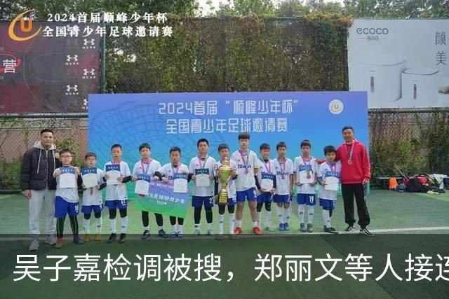 吴子嘉检调被搜，郑丽文等人接连声援，徐欣莹的表态才是重中之重