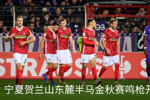 宁夏贺兰山东麓半马金秋赛鸣枪开跑 5500名跑友赴葡萄藤下之约