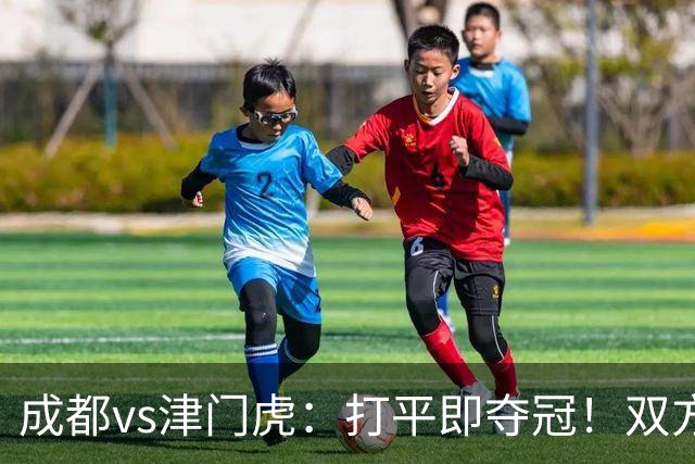 成都vs津门虎：打平即夺冠！双方均4外援首发，王子铭出战