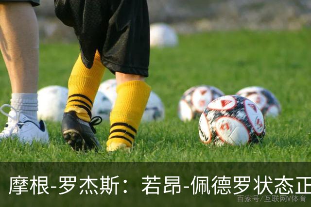 摩根-罗杰斯：若昂-佩德罗状态正佳，对切尔西非常好