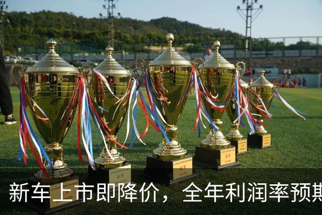 新车上市即降价，全年利润率预期下调至1％，大众在华以价换量逼近盈利红线
