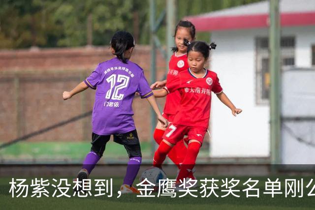 杨紫没想到，金鹰奖获奖名单刚公布，宋佳就因一个举动口碑暴涨