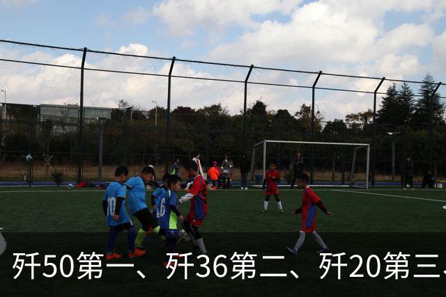 歼50第一、歼36第二、歼20第三、歼35第四——这份外媒排名，靠谱吗？