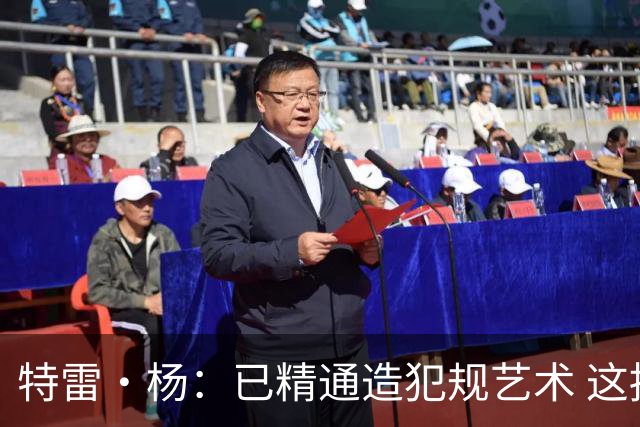 特雷·杨：已精通造犯规艺术 这招确实挺招人恨