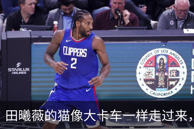 田曦薇的猫像大卡车一样走过来，全网被巨型萌物可爱治愈