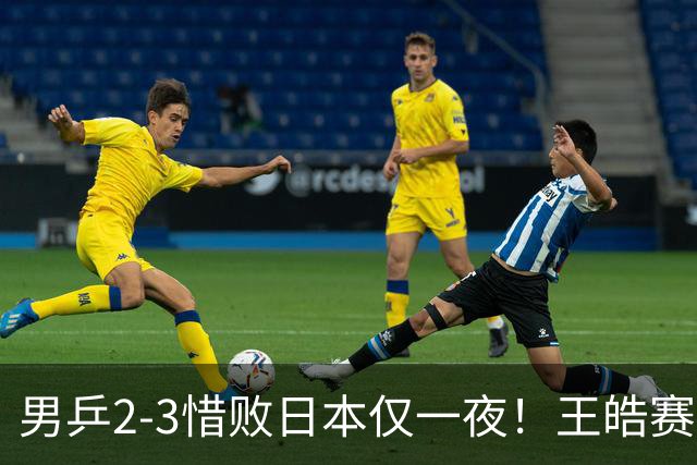 男乒2-3惜败日本仅一夜！王皓赛后竟这样说，林诗栋直言太实在