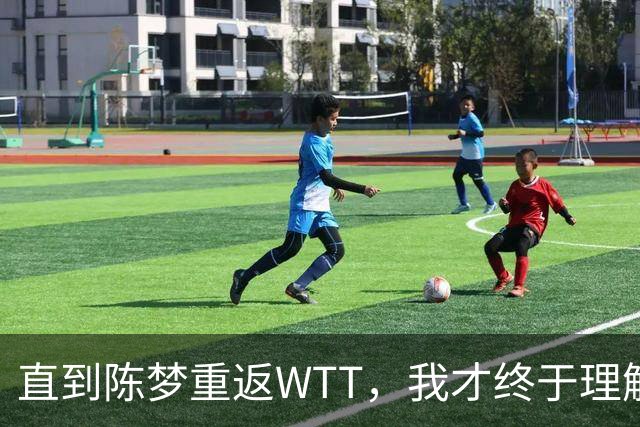 直到陈梦重返WTT，我才终于理解，为何马龙当初执意退出世界排名
