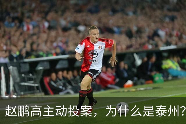 赵鹏高主动投案，为什么是泰州？异地办案释放了什么信号！