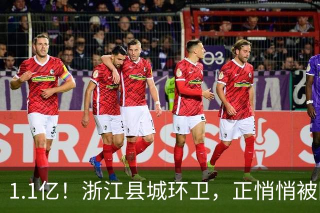 1.1亿！浙江县城环卫，正悄悄被国资平台收编