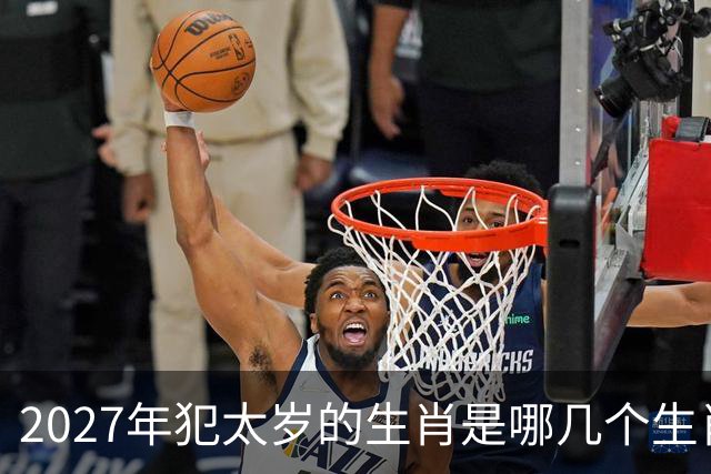 2027年犯太岁的生肖是哪几个生肖，2027年犯太岁最严重的属相是哪些