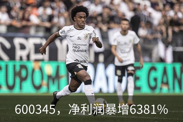 600345，净利润暴增6381%