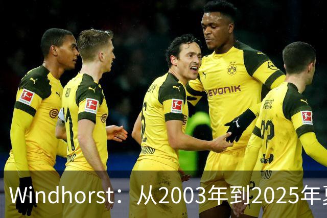 Windhorst：从2003年到2025年夏天尼克斯为得到詹姆斯愿赴汤蹈火
